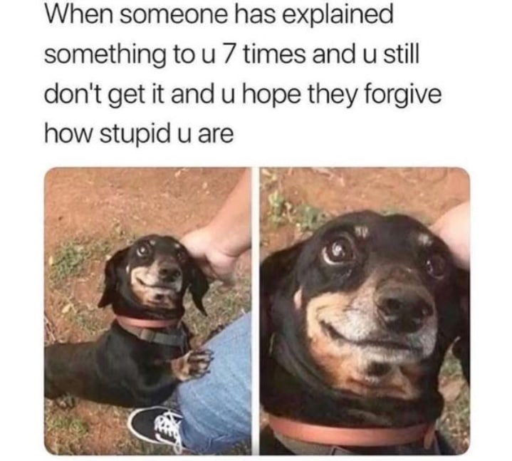 Wholesome memes,  Wholesome Memes Wholesome memes,  text: When someone has explained something to u 7 times and u still don't get it and u hope they forgive how stupid u are 