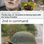 other memes Funny, Reeves, Turtles, Nazi, My God, Michael Reeves text: O DAILY MAIL • 3 MIN READ Florida man, 61, threatens to destroy town with his 