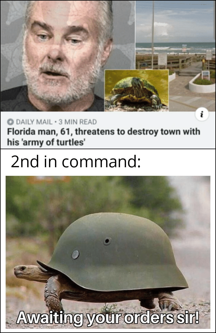 Funny, Reeves, Turtles, Nazi, My God, Michael Reeves other memes Funny, Reeves, Turtles, Nazi, My God, Michael Reeves text: O DAILY MAIL • 3 MIN READ Florida man, 61, threatens to destroy town with his 'army of turtles' 2nd in command: •waitingyguE0Uders sirr!tg• 