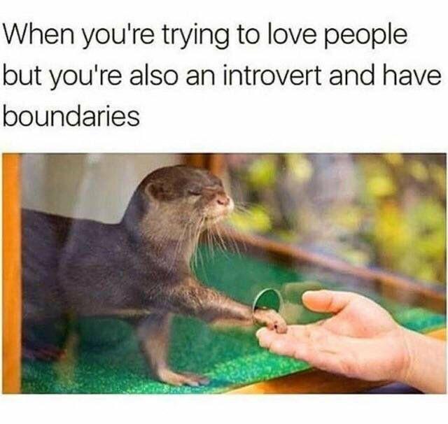 Wholesome memes, IRL Wholesome Memes Wholesome memes, IRL text: When you're trying to love people but you're also an introvert and have boundaries 