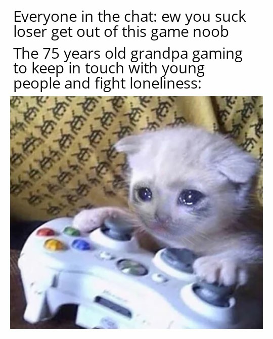 Funny, Tetris, Xbox, COD, Widow, Siege other memes Funny, Tetris, Xbox, COD, Widow, Siege text: Everyone in the chat: ew you suck loser get out of this game noob The 75 years old grandpa gaming to keep in touch with young people and fight loneliness: 