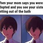 Anime Memes Anime,  text: When your mom says you were adopted and you see your sister getting out of the bath  Anime, 