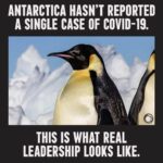 other memes Funny, Antarctica, North Korea, Emperor, COVID, Penguin text: ANTARCTICA HASN