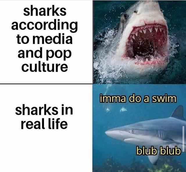 Wholesome memes, Jaws Wholesome Memes Wholesome memes, Jaws text: sharks according to media and pop culture sharks in real life •ip$na doa swim blub blub 