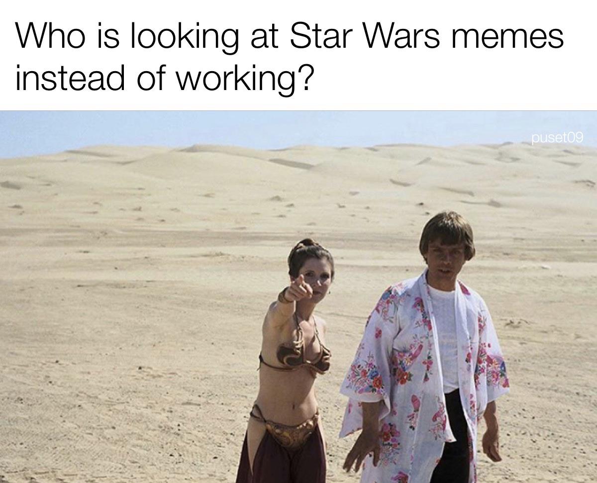 Ot-memes, Leia, Luke, PX5WFBc, Mark, Lucas Star Wars Memes Ot-memes, Leia, Luke, PX5WFBc, Mark, Lucas text: Who is looking at Star Wars memes instead of working? 