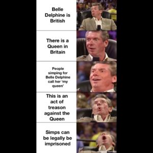 other memes Funny, British, South African, Britain, South Africa, Belle Delphine text: Belle Delphine is British There is a Queen in Britain People simping for Belle Delphine call her 'my queen' This is an act of treason against the Queen Simps can be legally be imprisoned me m
