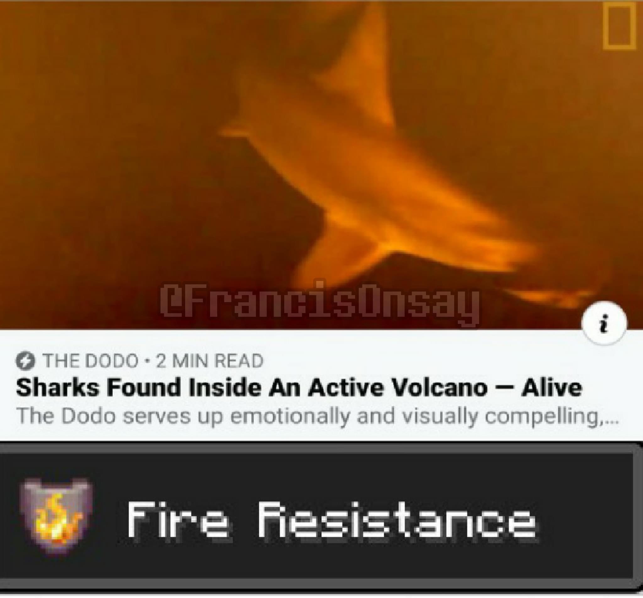 Minecraft, July minecraft memes Minecraft, July text: 0 THE DODO •2 MIN READ Sharks Found Inside An Active Volcano —J Alive The Dodo serves up emotionally and visually compelling.. Fire fiesistance 