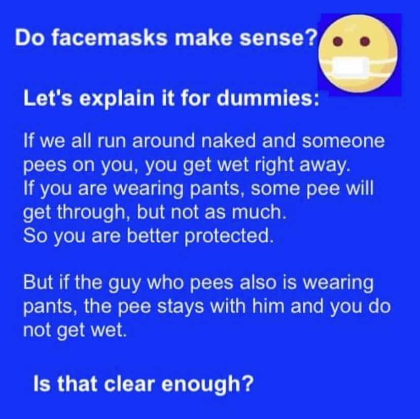 Political,  boomer memes Political,  text: Do facemasks make sense? Let's explain it for dummies: If we all run around naked and someone pees on you, you get wet right away. If you are wearing pants, some pee will get through, but not as much. So you are better protected. But if the guy who pees also is wearing pants, the pee stays with him and you do not get wet. Is that clear enough? 
