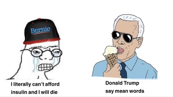Political, Medicare, ACA Political Memes Political, Medicare, ACA text: Bernie I literally can't afford insulin and I will die Donald Trump say mean words 