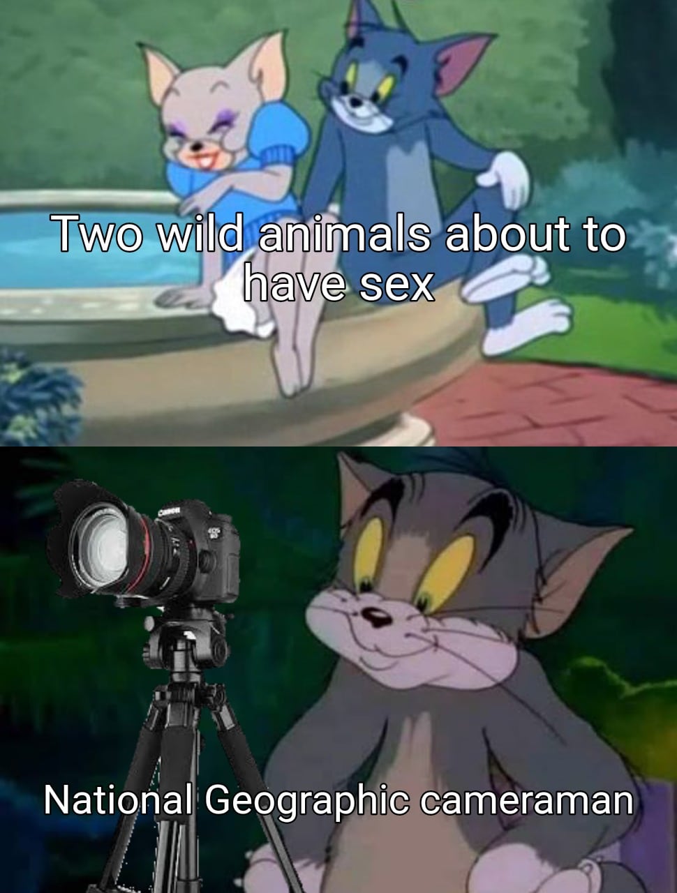 Funny, Geographic, Unzips, PornHub, PHub, Hub other memes Funny, Geographic, Unzips, PornHub, PHub, Hub text: —Two Wild animals about to National Geographic cameraman 