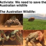 Star Wars Memes Prequel-memes, Australian, Australia, Nexu, Koalas, Dingo text: Activists: We need to save the Australian wildlife The Australian Wildlife:  Prequel-memes, Australian, Australia, Nexu, Koalas, Dingo