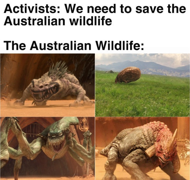 Prequel-memes, Australian, Australia, Nexu, Koalas, Dingo Star Wars Memes Prequel-memes, Australian, Australia, Nexu, Koalas, Dingo text: Activists: We need to save the Australian wildlife The Australian Wildlife: 