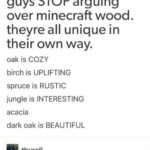 minecraft memes Minecraft, Acacia, Crimson text: mega-taiga guys STOP arguing over minecraft wood. theyre all unique in their own way. oak is COZY birch is UPLIFTING spruce is RUSTIC jungle is INTERESTING acacia dark oak is BEAUTIFUL thyrell ACACIA IS FUCKWG ORAGNE  Minecraft, Acacia, Crimson
