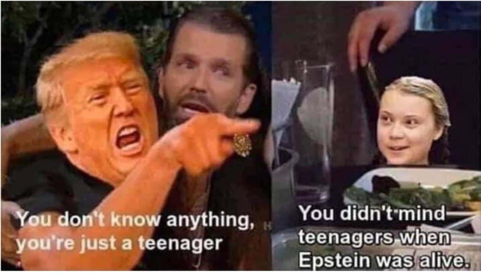 Political, Pepperidge Farms Political Memes Political, Pepperidge Farms text: owdon t know anything, you're just a teenager You didn't-mind teenagers when E stein was alit@!') 