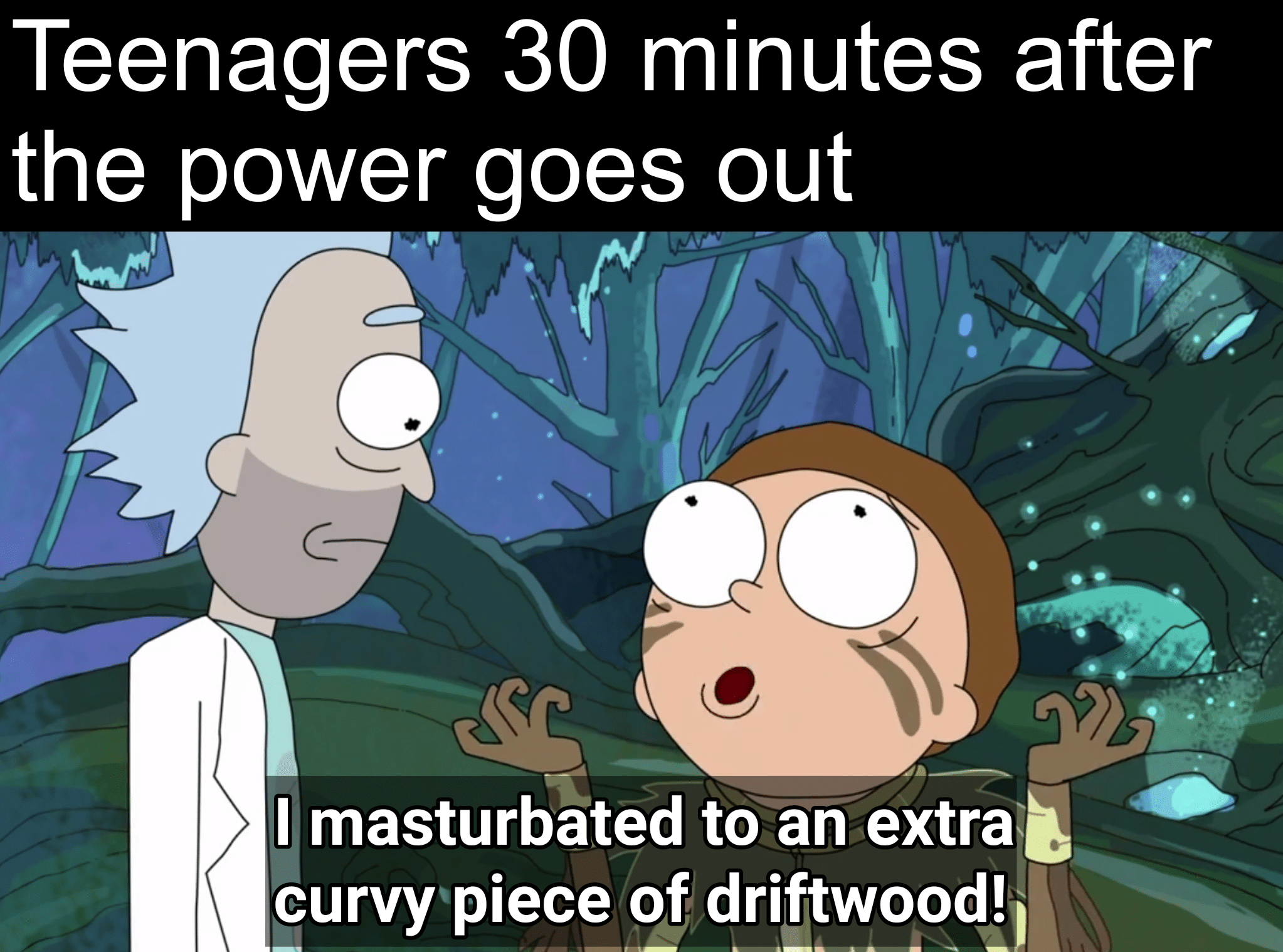 Dank, Laughs Dank Memes Dank, Laughs text: Teenagers 30 minutes after the power goes out Il masturbated to an extra curvy•piece of dri!twood! 