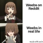 Anime Memes Anime,  text: Weebs on Reddit Weebs in real life made With pain  Anime, 