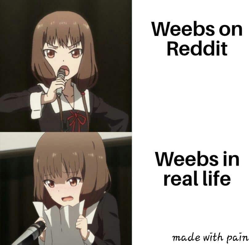 Anime,  Anime Memes Anime,  text: Weebs on Reddit Weebs in real life made With pain 