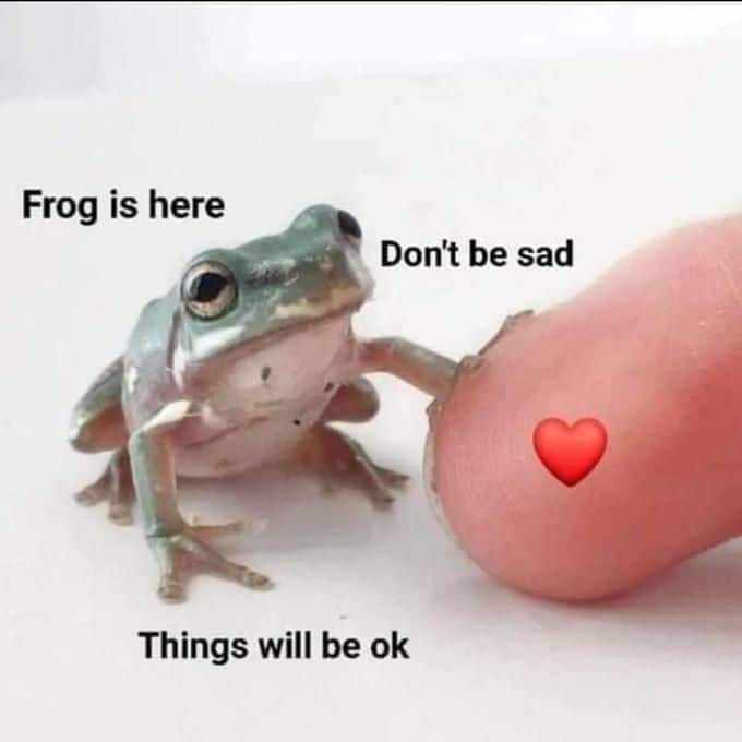 Wholesome memes, Froggi Wholesome Memes Wholesome memes, Froggi text: Frog is here Don't be sad Things will be ok 