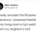 Black Twitter Memes Tweets, Hamilton, Broadway text: Matt Jenkins @YoungFunE To really simulate the Broadway experience, I streamed Hamilton on my living room tv but watched it from my neighbor