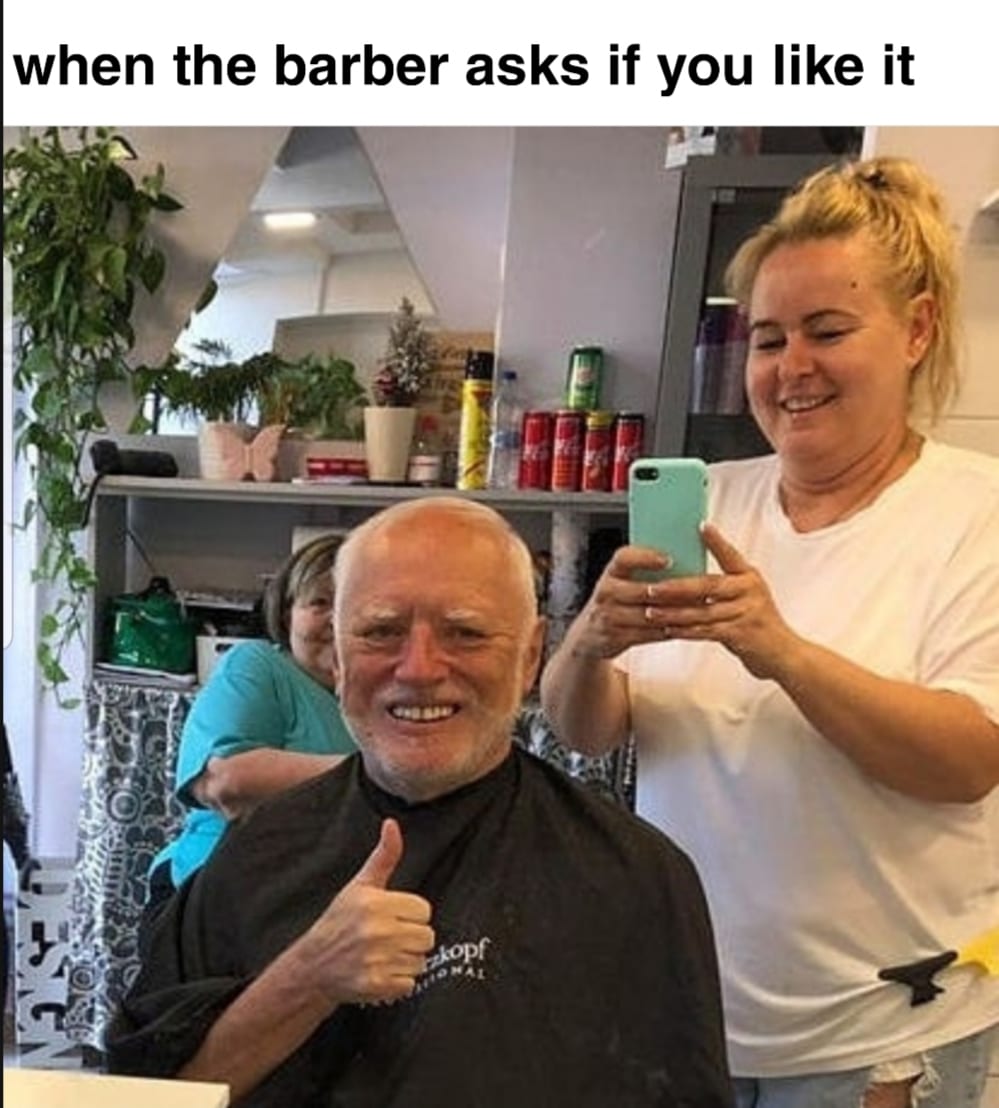 Dank, Harold Dank Memes Dank, Harold text: when the barber asks if you like it 