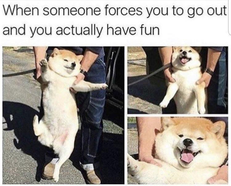 Wholesome memes,  Wholesome Memes Wholesome memes,  text: When someone forces you to go out and you actually have fun 