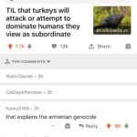 History Memes History, Turkey, Turkish, Armenian, Armenians, Germany text: r/todayilearned u/supermoores • 3h TIL that turkeys will attack or attempt to dominate humans they view as subordinate 135 , TOP COMMENTS StaticGlacier • 3h CatDayAfternoon • 3h husky0168 • 2h en.wikipedia.or Share that explains the armenian genocide e 9 Reply casualrocket • 27m bruh 90  History, Turkey, Turkish, Armenian, Armenians, Germany