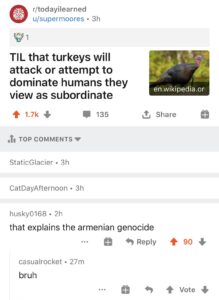 History Memes History, Turkey, Turkish, Armenian, Armenians, Germany text: r/todayilearned u/supermoores • 3h TIL that turkeys will attack or attempt to dominate humans they view as subordinate 135 , TOP COMMENTS StaticGlacier • 3h CatDayAfternoon • 3h husky0168 • 2h en.wikipedia.or Share that explains the armenian genocide e 9 Reply casualrocket • 27m bruh 90
