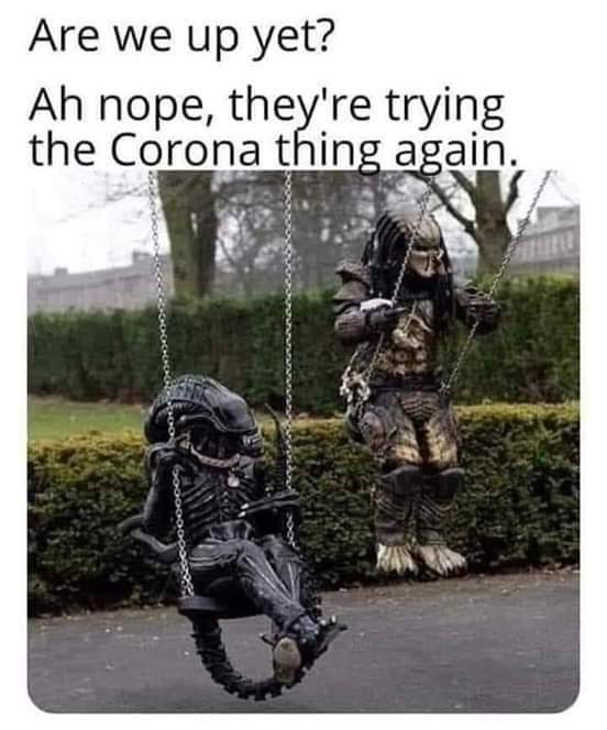 Dank, Yall other memes Dank, Yall text: Are we up yet? Ah nope, they're trying the Corona thin a ain. 