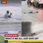 depression memes Depression, IFLtNYI3Ls text: LIVE aborteddreams BREAKING NEWS WHAT IF WE ALL JUST GIVE UP? PEOPLE ACROSS THE COUNTRY ARE DECIDING TO SAY "FUCH m LET