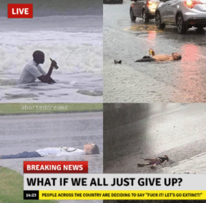 depression memes Depression, IFLtNYI3Ls text: LIVE aborteddreams BREAKING NEWS WHAT IF WE ALL JUST GIVE UP? PEOPLE ACROSS THE COUNTRY ARE DECIDING TO SAY "FUCH m LET'S GO EXTINCT!"