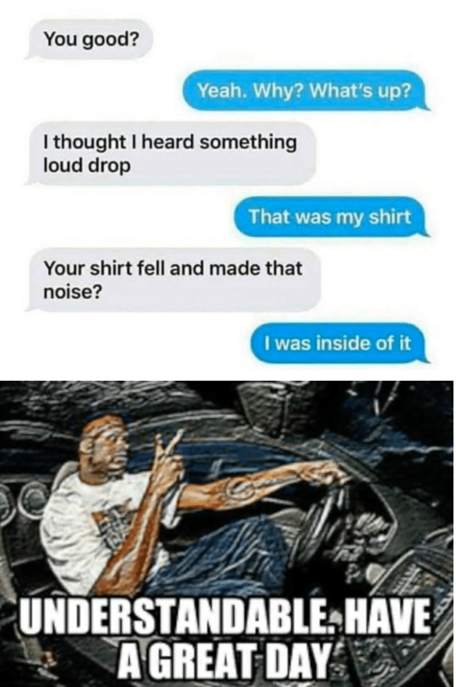 Funny, Good other memes Funny, Good text: You good? Yeah. Why? What's up? I thought I heard something loud drop That was my shirt Your shirt fell and made that noise? I was inside of it UNDERSTANDABLEHAVE A GREAT DAY 