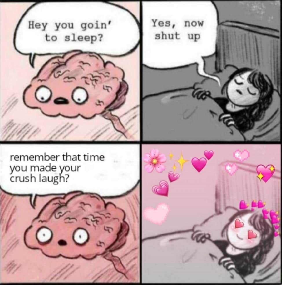 Wholesome memes,  Wholesome Memes Wholesome memes,  text: remember that time you made your crush laugh? 