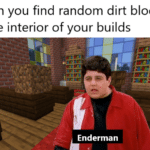 minecraft memes Minecraft, The_Dumb_WeeB text: When you find random dirt blocks in the interior of your builds Enderman 