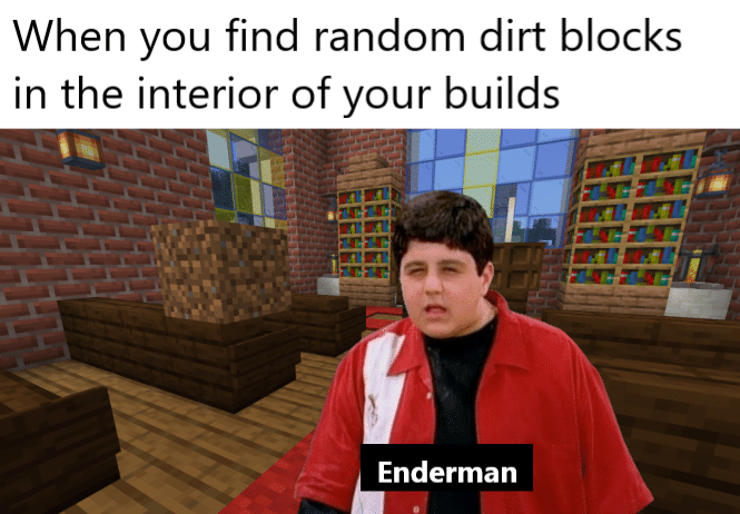 Minecraft, The_Dumb_WeeB minecraft memes Minecraft, The_Dumb_WeeB text: When you find random dirt blocks in the interior of your builds Enderman 