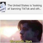 other memes Dank, VPN, Tik Tok, TikTok, Reddit, Indian text: The United States is 