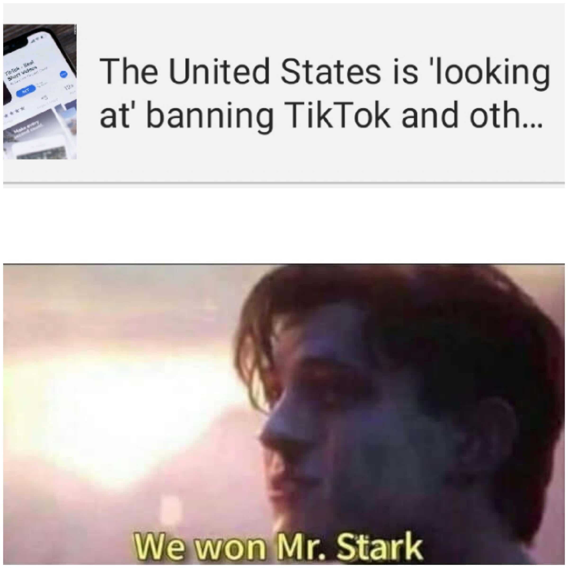 Dank, VPN, Tik Tok, TikTok, Reddit, Indian other memes Dank, VPN, Tik Tok, TikTok, Reddit, Indian text: The United States is 'looking at' banning TikTok and 0th... iW@Wöfi Mr. Stark 