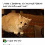 Wholesome Memes Wholesome memes, Reddit text: themagicalladycat Creamy is concerned that you might not have loved yourself enough today penguin-and-kiwi I