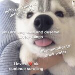 Wholesome Memes Wholesome memes,  text: tedänd deserve hings peremember to , drink water I lov ok continue scrolling  Wholesome memes, 