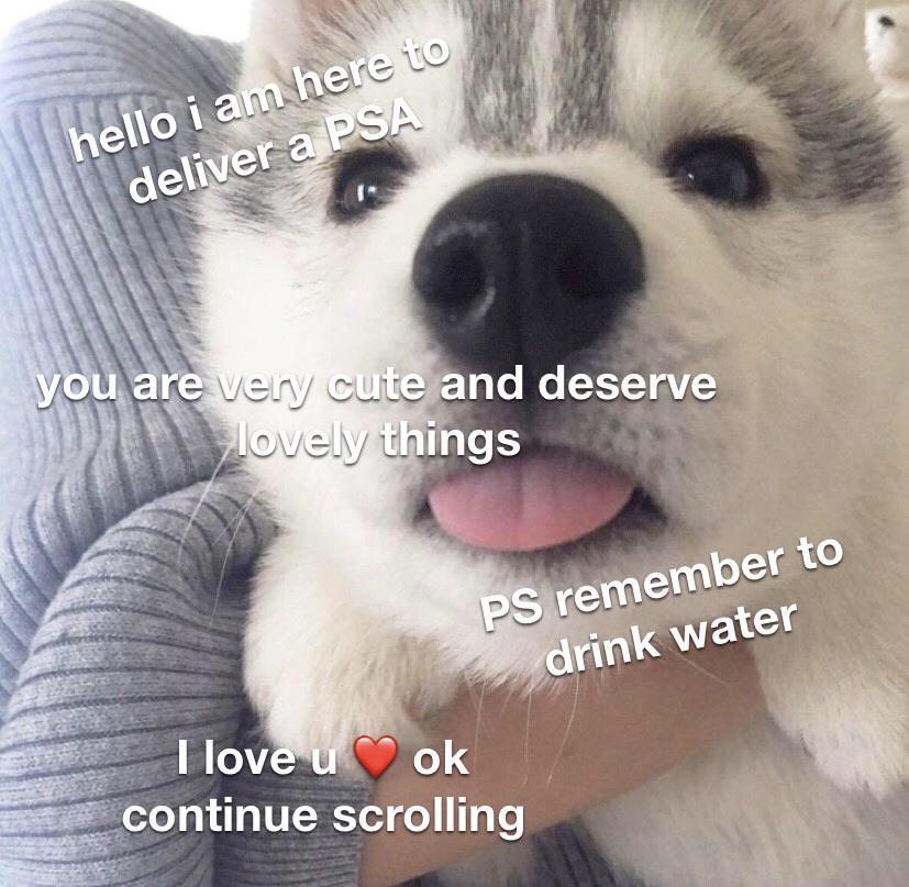 Wholesome memes,  Wholesome Memes Wholesome memes,  text: tedänd deserve hings peremember to , drink water I lov ok continue scrolling 
