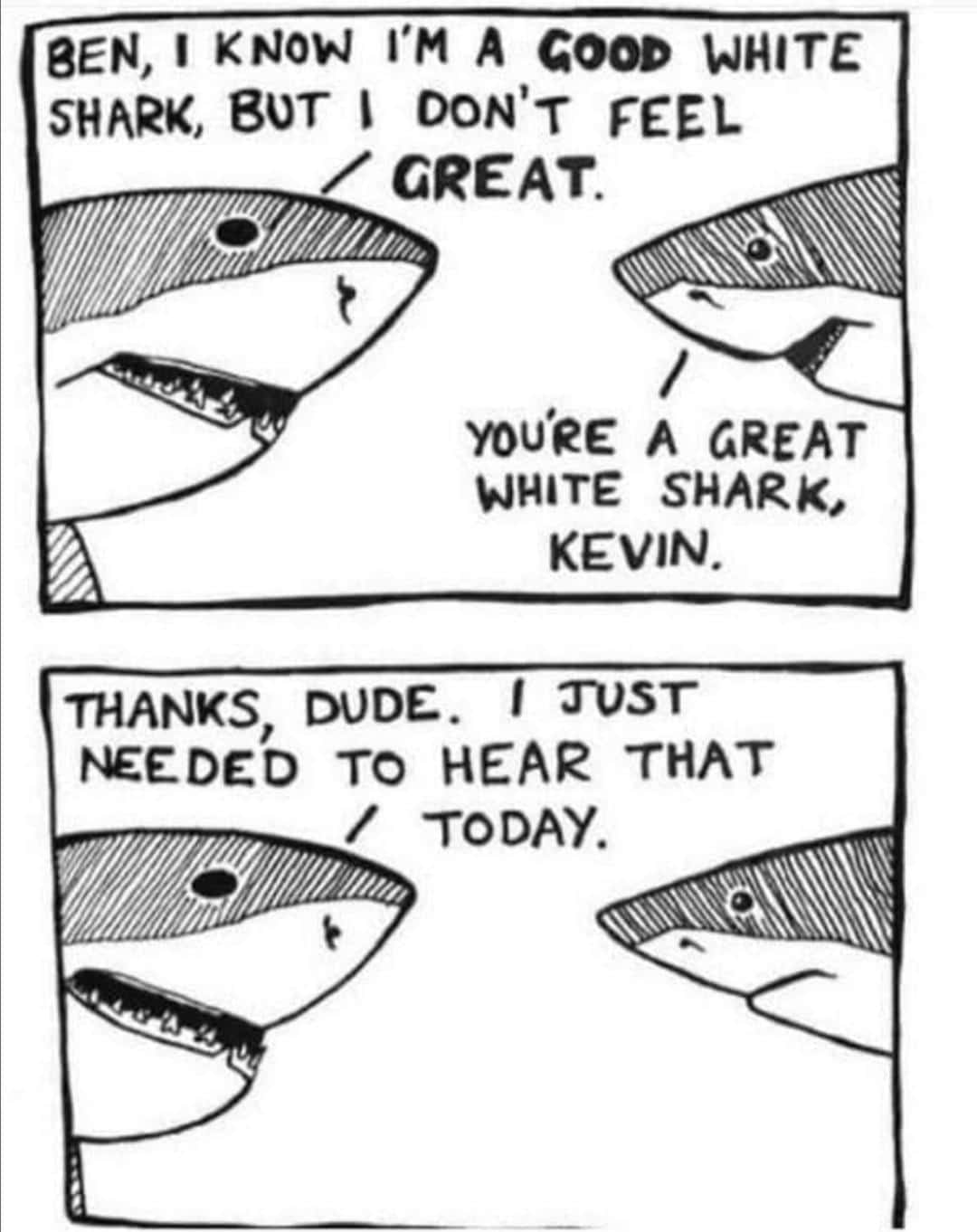 Wholesome memes, Ben Wholesome Memes Wholesome memes, Ben text: BEN, KNOW I'M A GOOD WHITE BUT 1 DON'T FEEL SH ARK, / GREAT. you'ee A GREAT WHITE SHARK, KEVIN. THANKS, DUDE. 1 a-vsr NEEDED To HEAR THAT / T0DAY. 