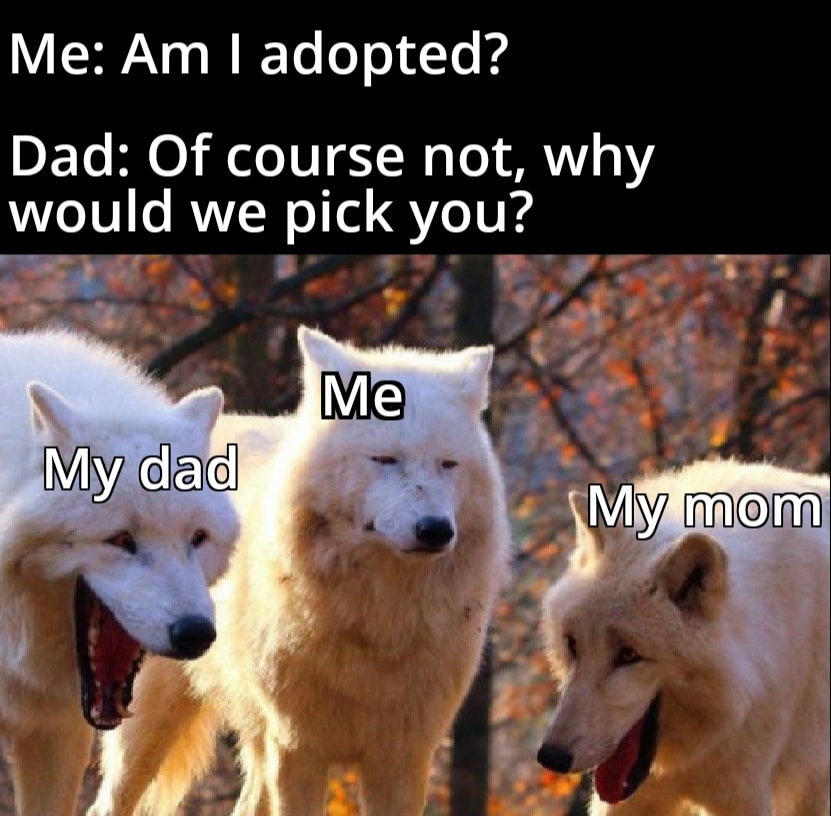 Dank, Parents Dank Memes Dank, Parents text: Me: Am I adopted? Dad: Of course not, why would we pick you? 'MV(dåd 