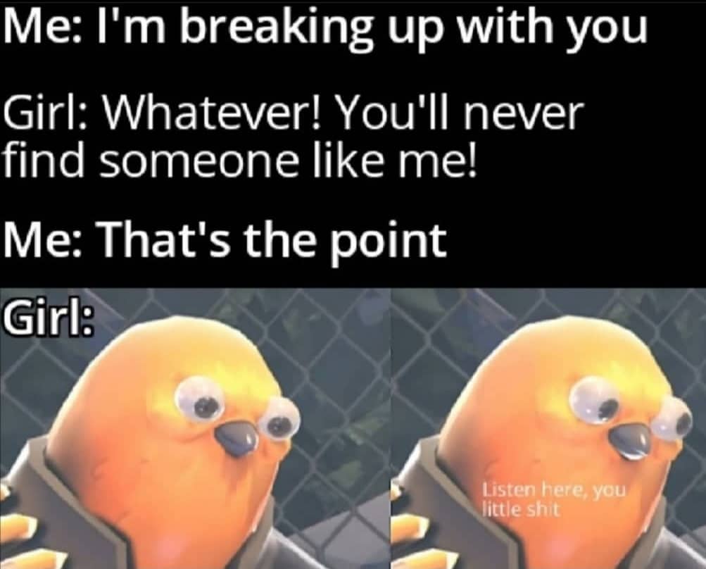 Dank, Visit, OC, Negative, JPEG, Feedback other memes Dank, Visit, OC, Negative, JPEG, Feedback text: Me: I'm breaking up with you Girl: Whatever! You'll never find someone like me! Me: That's the point Girl: Listen here, you little shit 