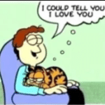 Wholesome Memes Wholesome memes, Garfield text: DOA 、 01 1  Wholesome memes, Garfield