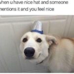 Wholesome Memes Wholesome memes, Girl, Crush text: when u have nice hat and someone mentions it and you feel nice  Wholesome memes, Girl, Crush