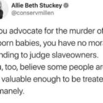 boomer memes Political,  text: Allie Beth Stuckey@ @conservmillen If you advocate for the murder of unborn babies, you have no moral standing to judge slaveowners. You, too, believe some people are not valuable enough to be treated humanely.  Political, 