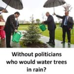 other memes Dank, Putin, Poland text: Without politicians who would water trees in rain?  Dank, Putin, Poland