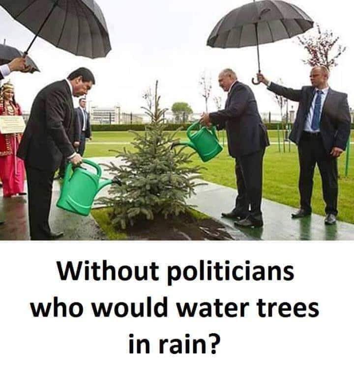 Dank, Putin, Poland other memes Dank, Putin, Poland text: Without politicians who would water trees in rain? 