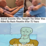 Wholesome Memes Wholesome memes,  text: Jewish Cousins Who Thought The Other Was Killed By Nazis Reunite After 75 Years  Wholesome memes, 