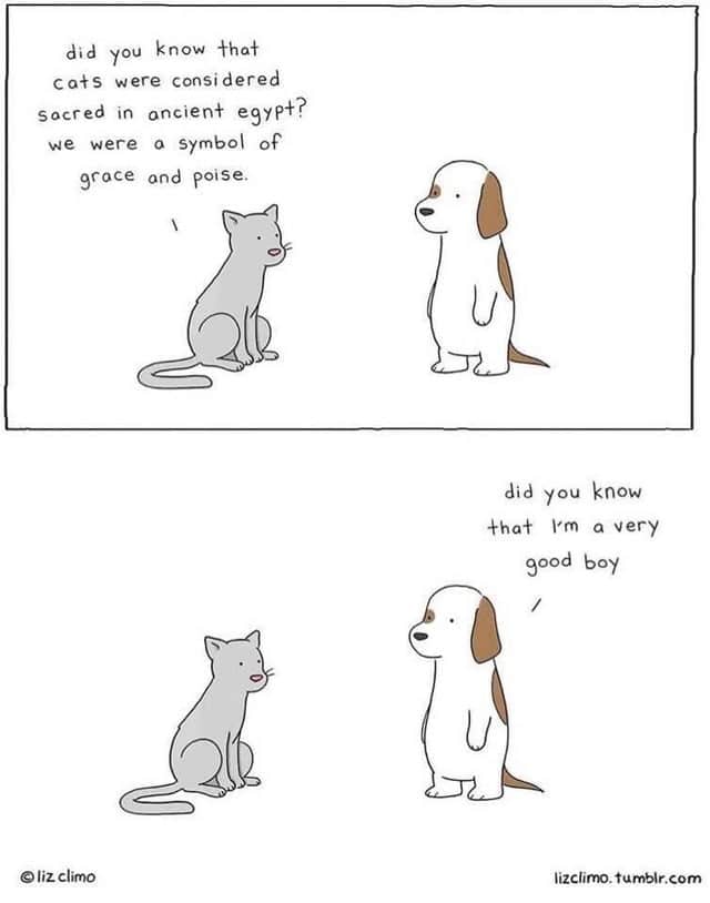 Wholesome memes,  Wholesome Memes Wholesome memes,  text: did you know s were considered Sacred in oncien+ egyp+? were o symbol Of groce and poise. O liz climo did you know +haå a Very good boy lizclimO. fumblr.eom 