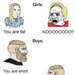 Dank Memes Dank, Short, Know text: Girls: You are fat NOOOOOOOO!! Boys: You are short  Dank, Short, Know
